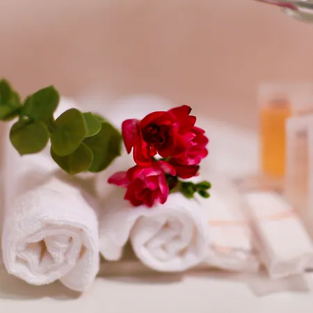 エリゼ ホテル 4*